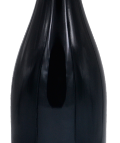 Morgon Côte du Py magnum